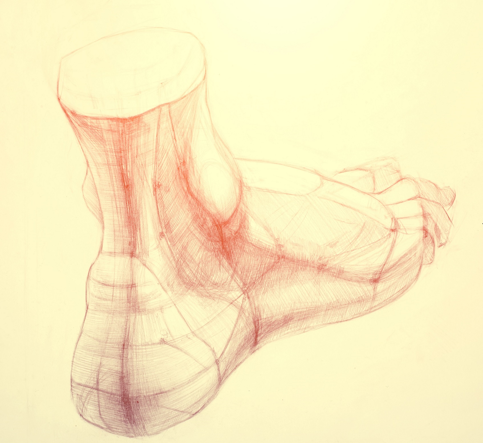 Read more about the article מדרסים מחיר