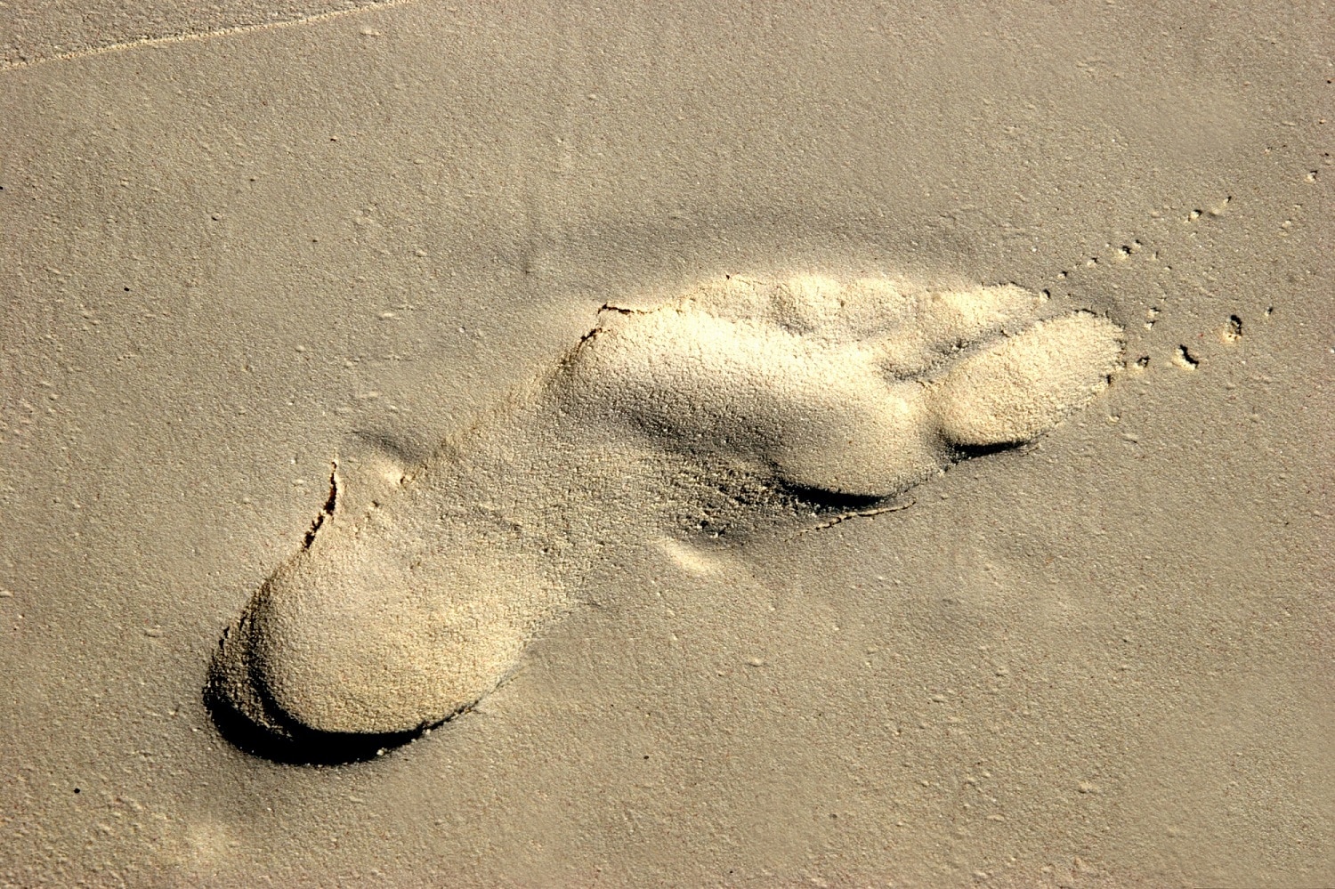 Read more about the article מדרסים אורטופדיים בירושלים