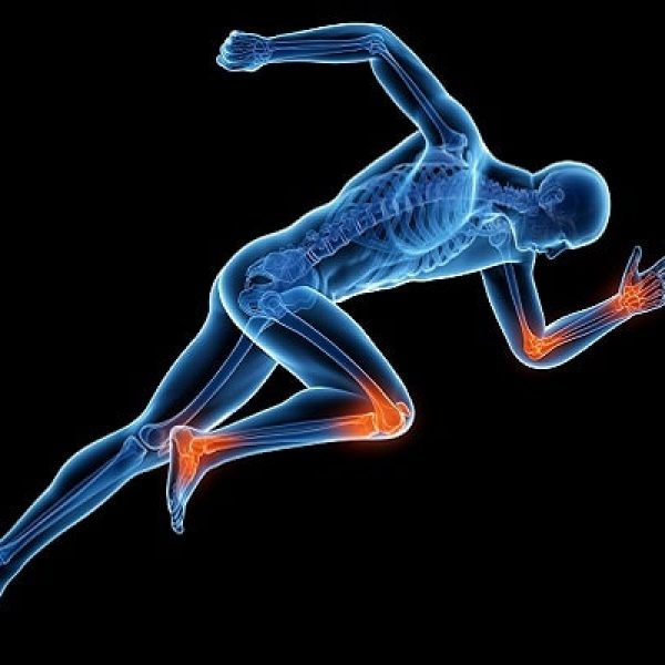 מדרסים בירושלים מציאת המזור לכאב: מדוע אלפא מעבדות מדרסים היא הבחירה המובילה למדרסים בירושלים