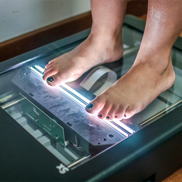 מדרסים בירושלים אלפא מעבדות מדרסים